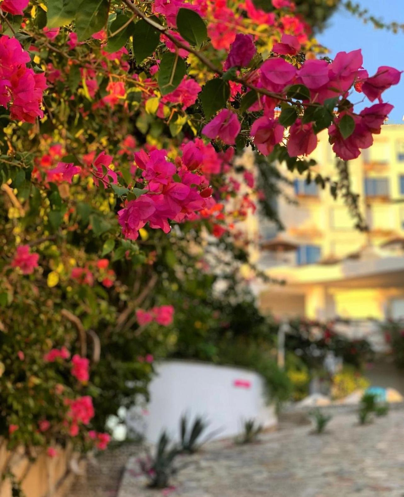 Bellavista Apartments Bougainville Bay Sarandë Buitenkant foto
