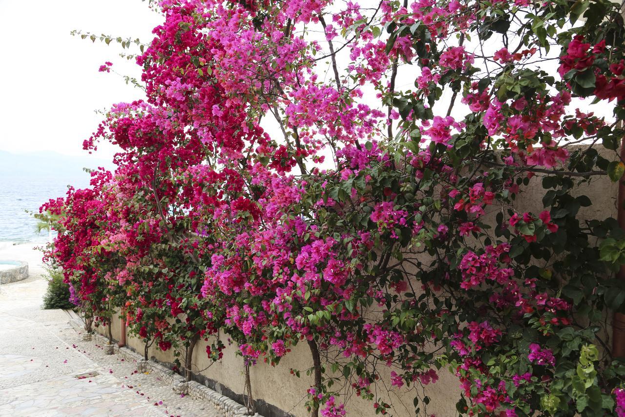 Bellavista Apartments Bougainville Bay Sarandë Buitenkant foto